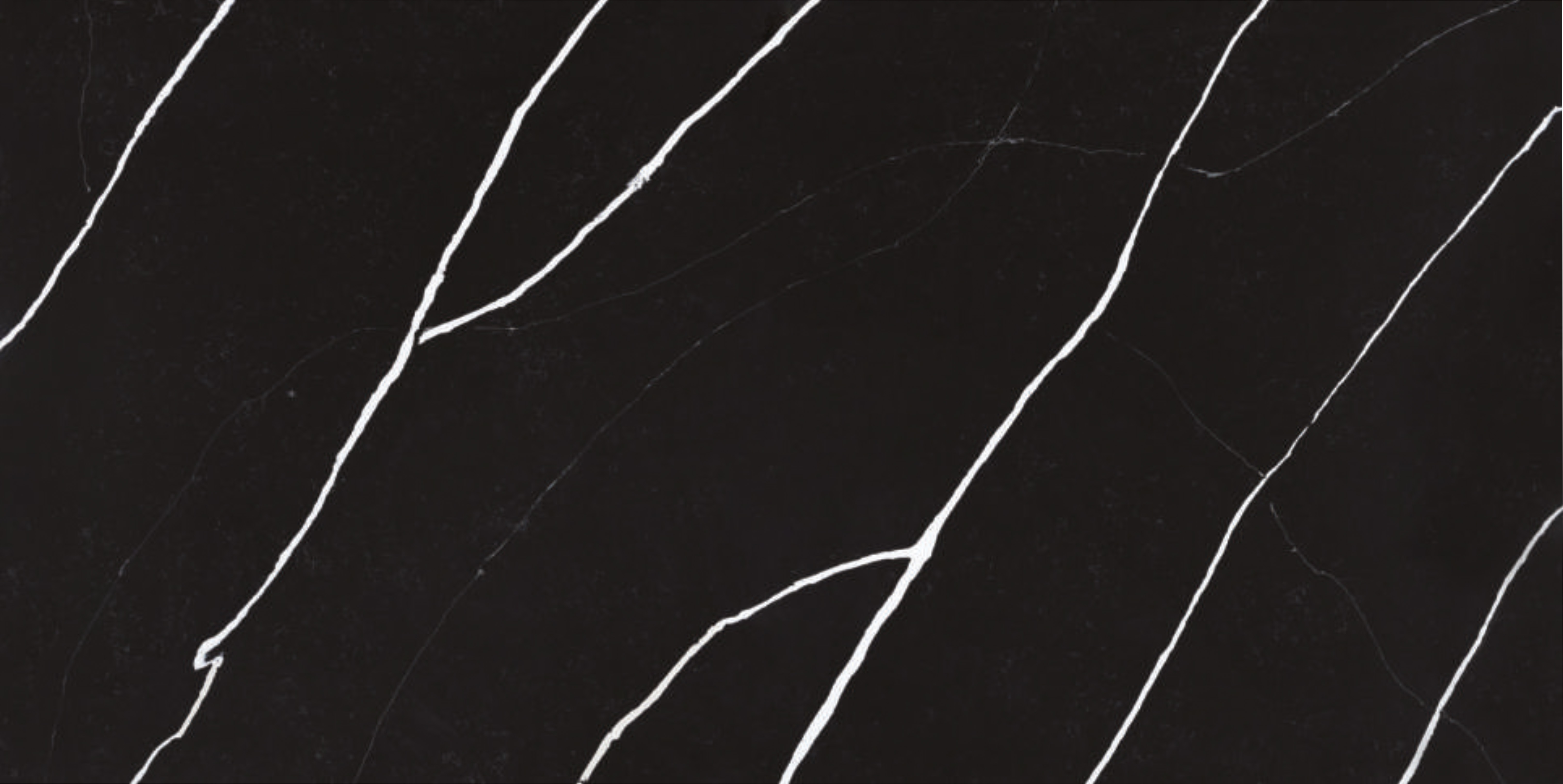 Calacatta Midnight Main Image